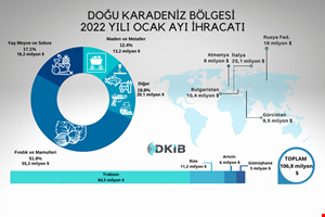 KARADENİZ BÖLGESİNDE İHRACATIN LİDERİ TRABZON
